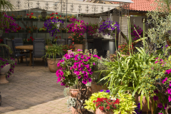 FeWo Hoher Staden (18)